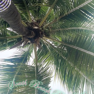 Fundraising Page: Esther Sykes-Wood